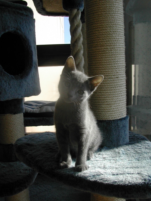 DSCN7687.JPG
