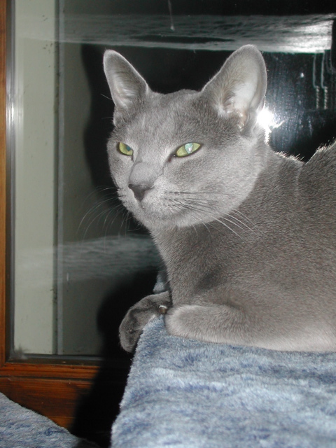 DSCN7749.JPG