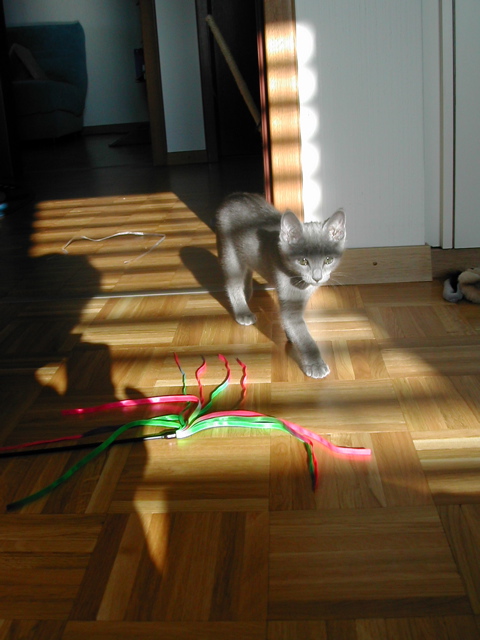 Mishka