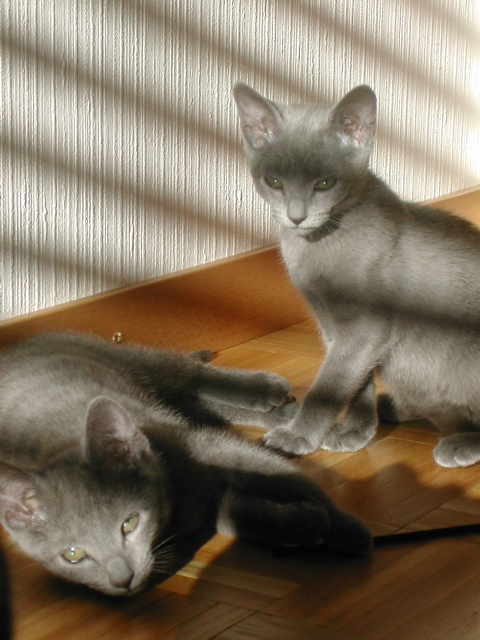 DSCN7830.JPG