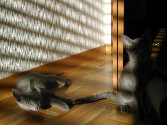 DSCN7832.JPG