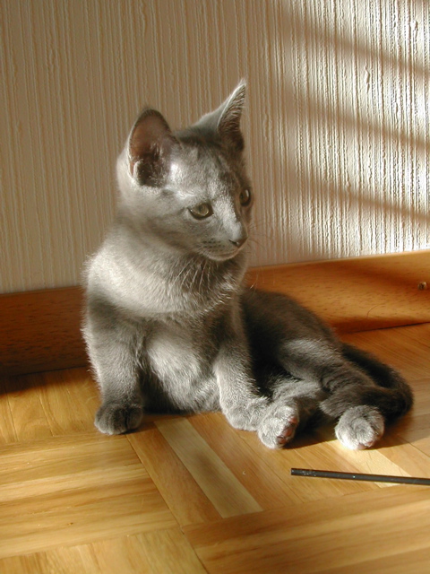 Mishka