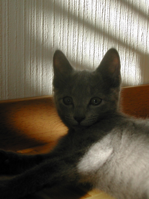 Mishka