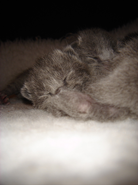 DSC00571.JPG