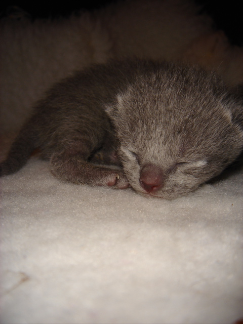 DSC00572.JPG