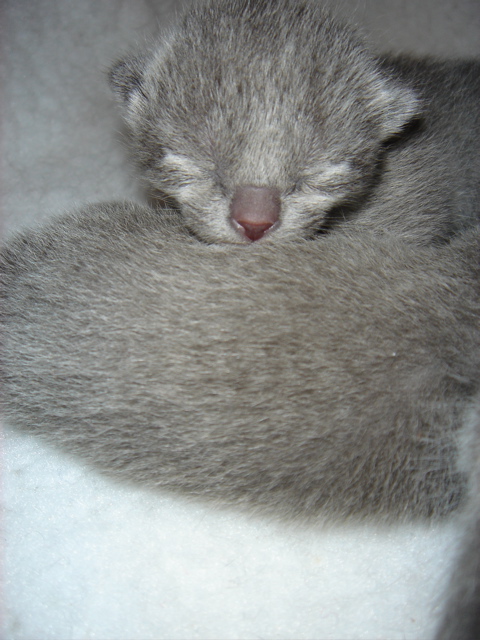 DSC00573.JPG