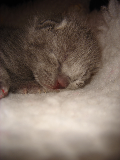 DSC00578.JPG