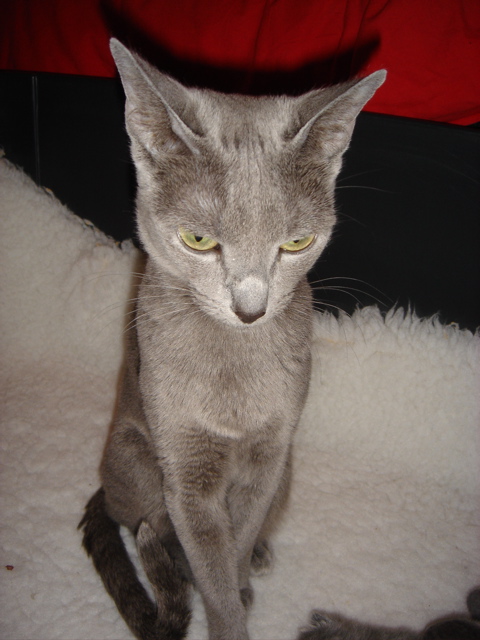 DSC00583.JPG