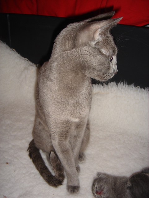 DSC00584.JPG
