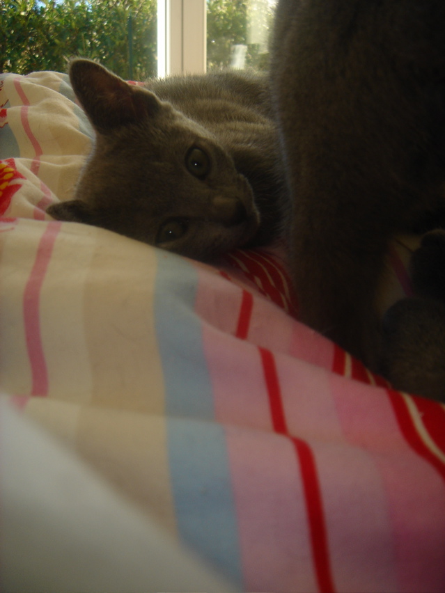 DSC01948.JPG