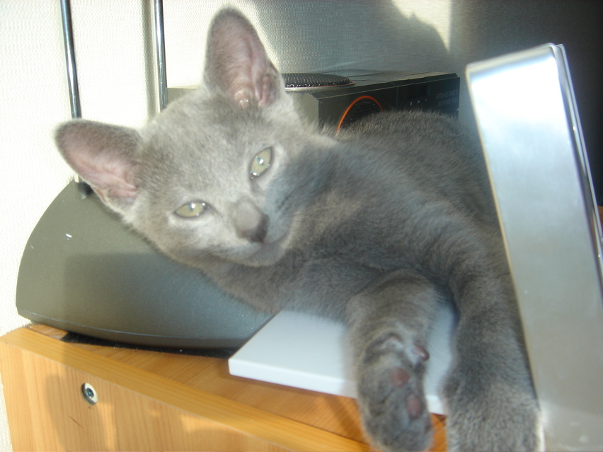 DSC02016.JPG