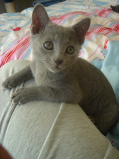 DSC02025.JPG