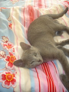 DSC01949.JPG