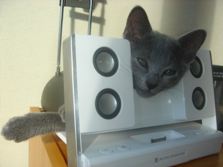 DSC02013.JPG