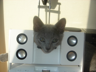 DSC02012.JPG
