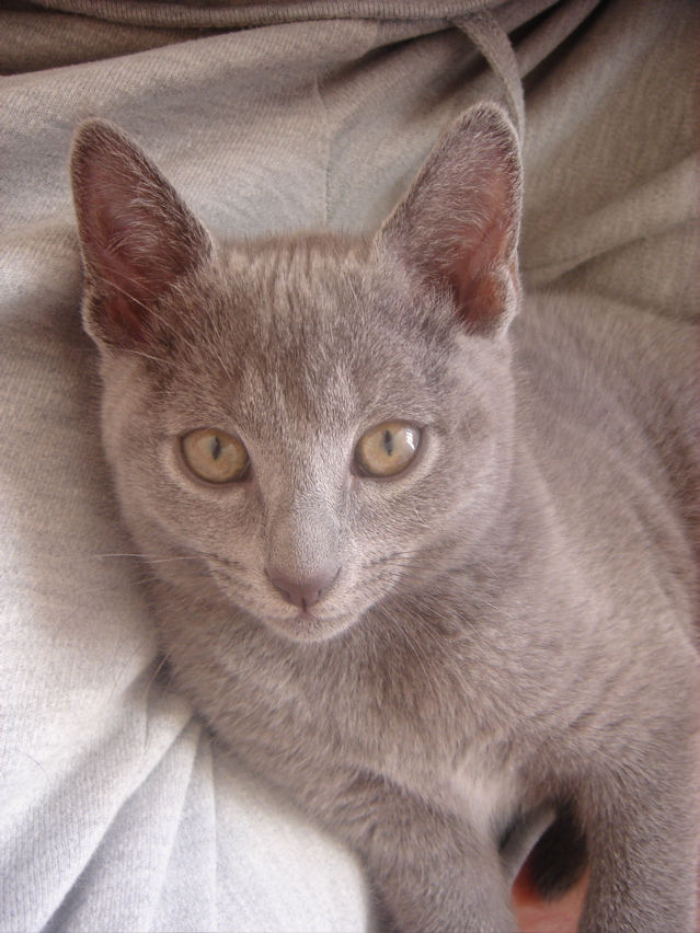 DSC01989.JPG