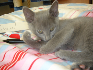 DSC01961.JPG