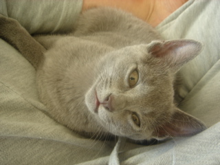 DSC02002.JPG