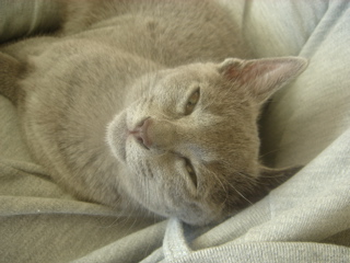 DSC02003.JPG