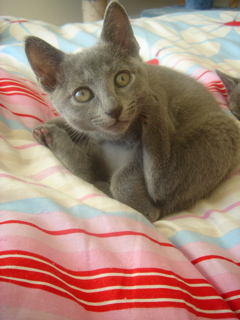 DSC02004.JPG