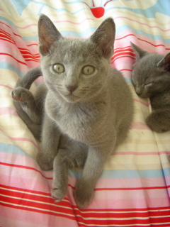 DSC02007.JPG