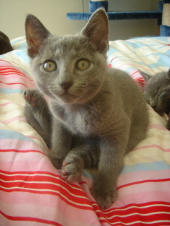 DSC02006.JPG