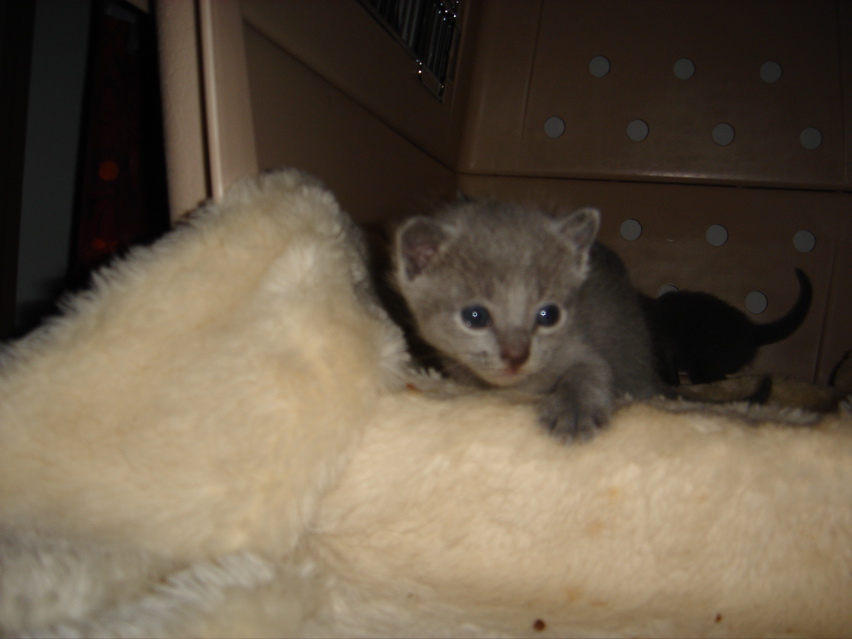 DSC00804.JPG