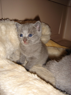 DSC00781.JPG