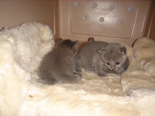 DSC00785.JPG