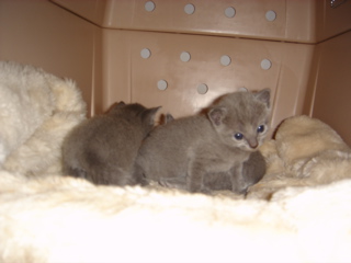 DSC00786.JPG