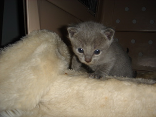 DSC00805.JPG