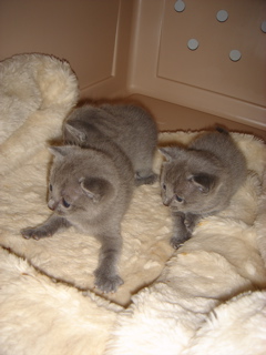 DSC00814.JPG