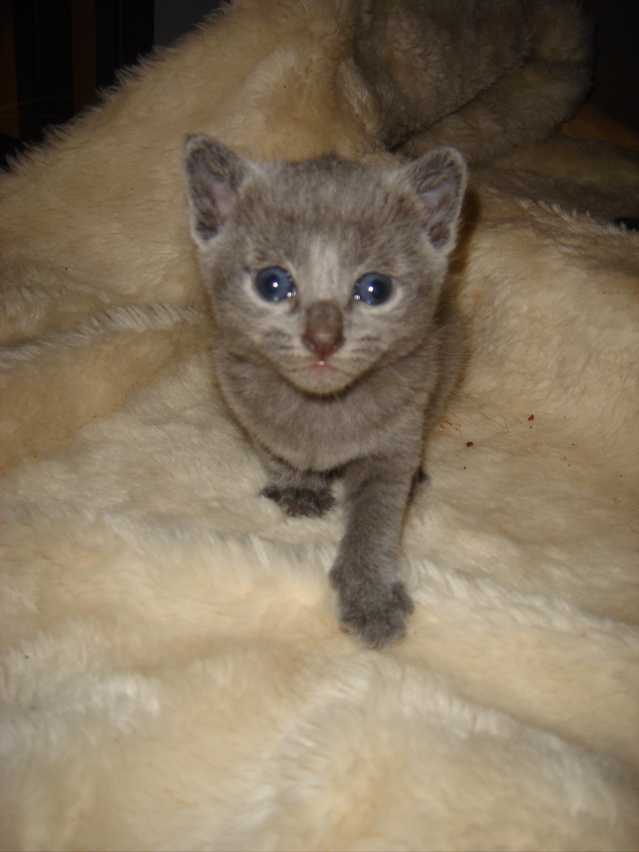 DSC00789.JPG