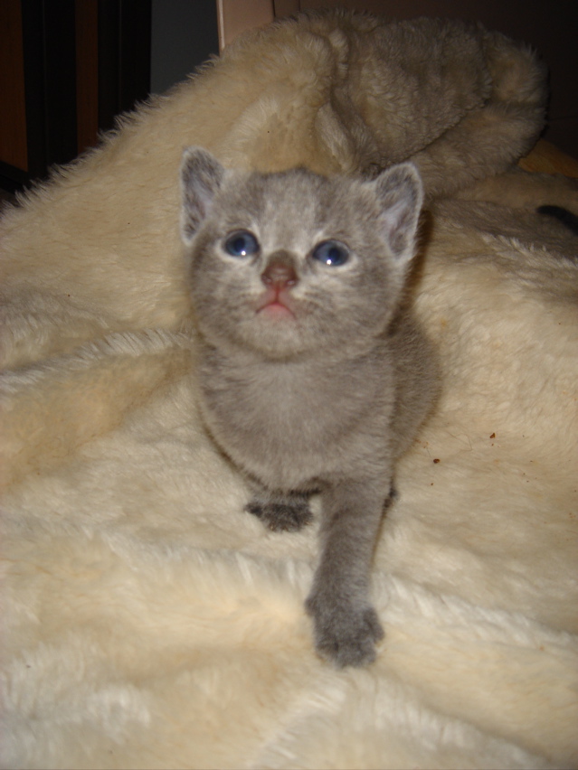 DSC00790.JPG