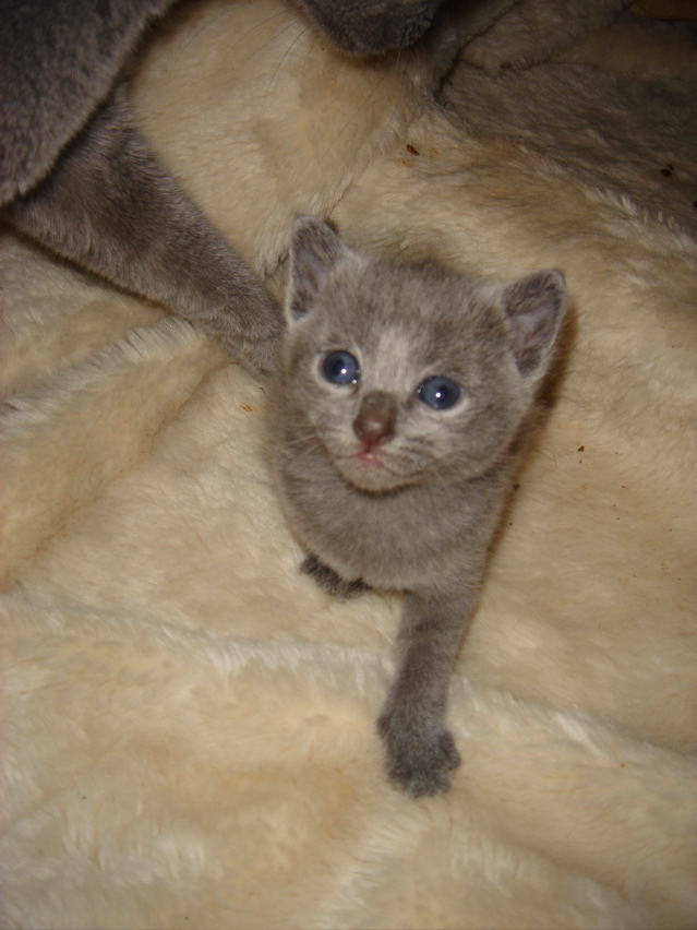DSC00792.JPG