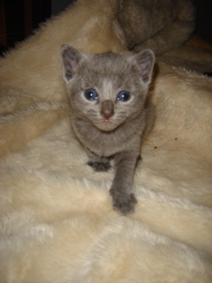 DSC00789.JPG