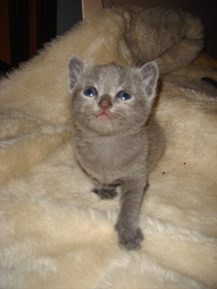 DSC00790.JPG