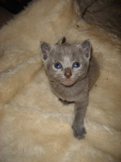 DSC00791.JPG