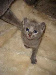 DSC00792.JPG