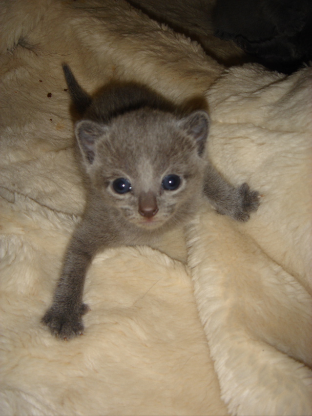 DSC00818.JPG