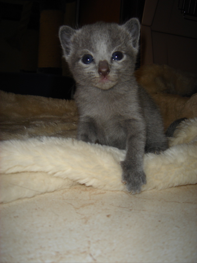 DSC00825.JPG