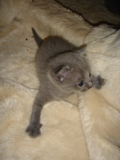 DSC00820.JPG