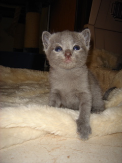 DSC00824.JPG