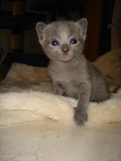 DSC00823.JPG