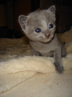 DSC00822.JPG