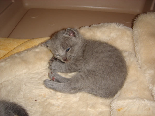 DSC00779.JPG