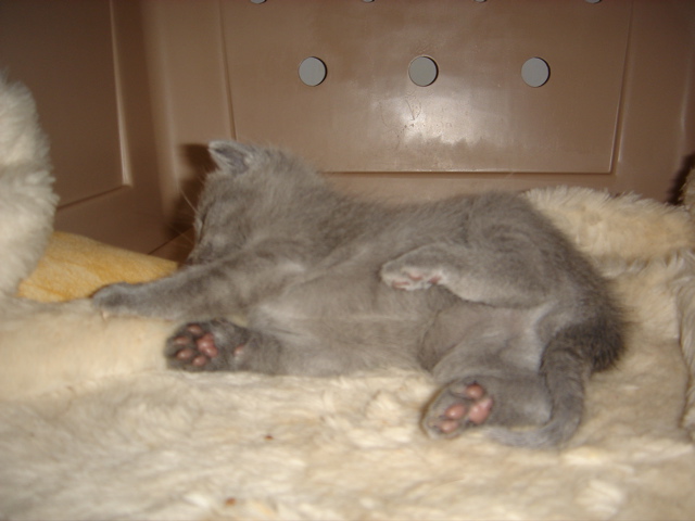 DSC00796.JPG