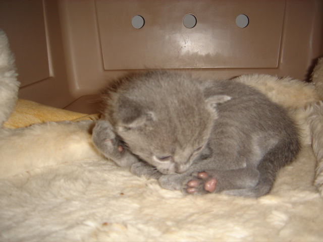 DSC00799.JPG