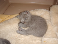 DSC00779.JPG