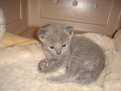 DSC00793.JPG